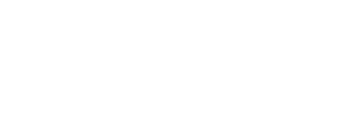 WHITE KNIGHT INVESTMENT